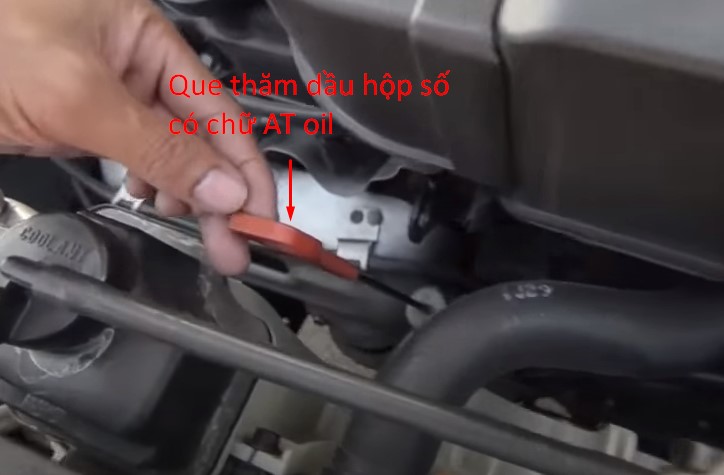 cách kiểm tra và thay dầu hộp số ô tô