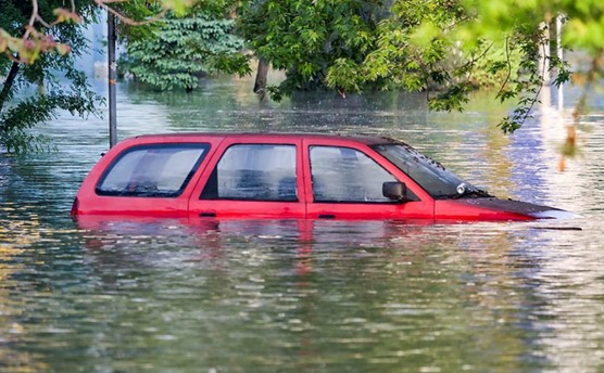 xe ô tô bị ngập nước